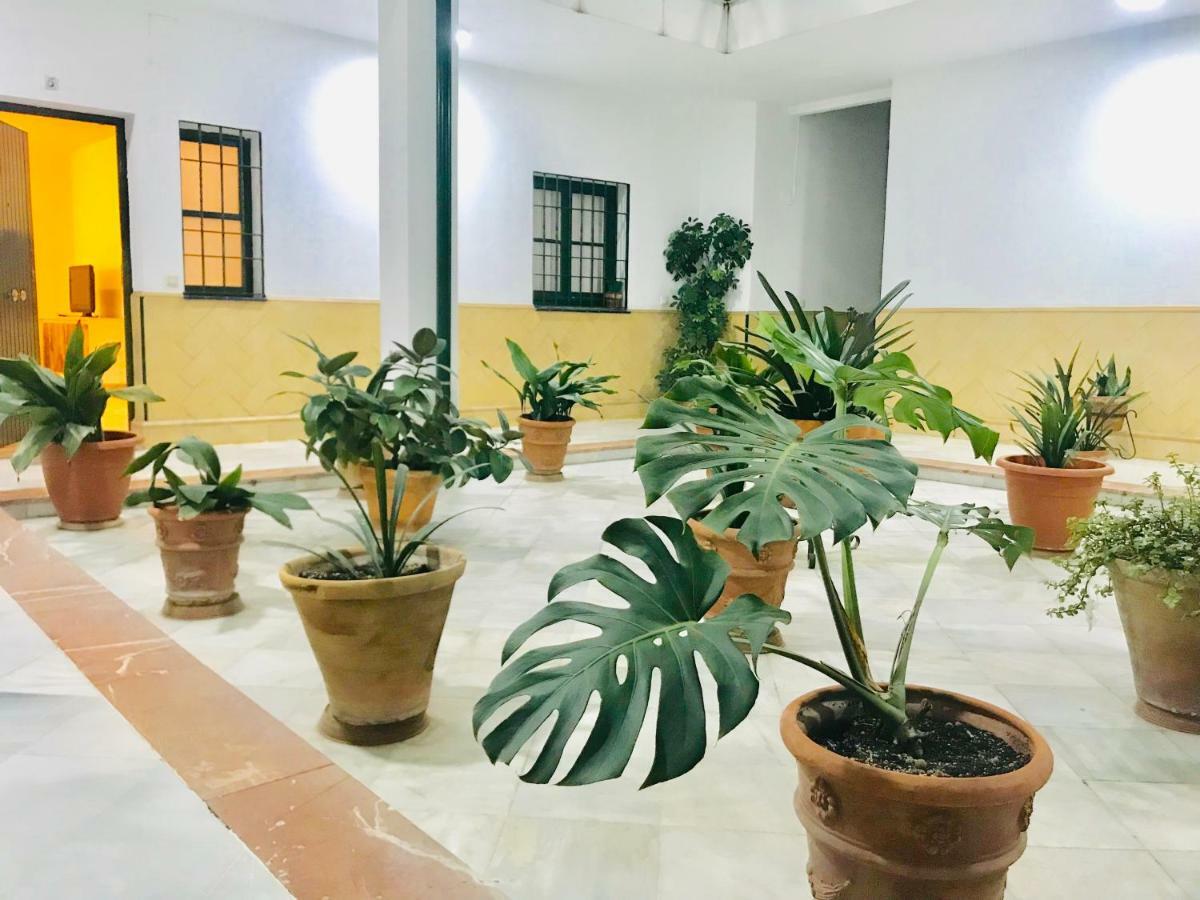 Los Patios De La Juderia Севілья Екстер'єр фото
