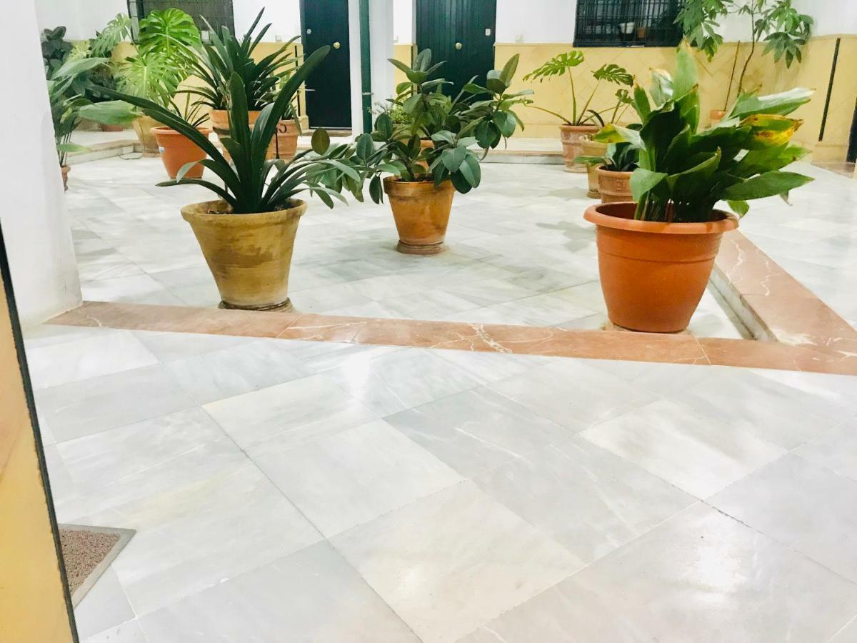 Los Patios De La Juderia Севілья Екстер'єр фото
